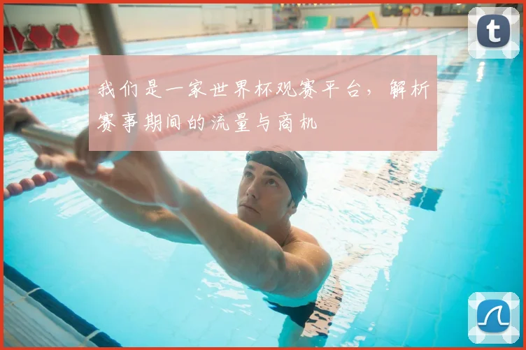 我们是一家世界杯观赛平台，解析赛事期间的流量与商机